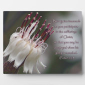 Peter 4:13 Inspirerend Floral Fotoplaat (Voorkant)