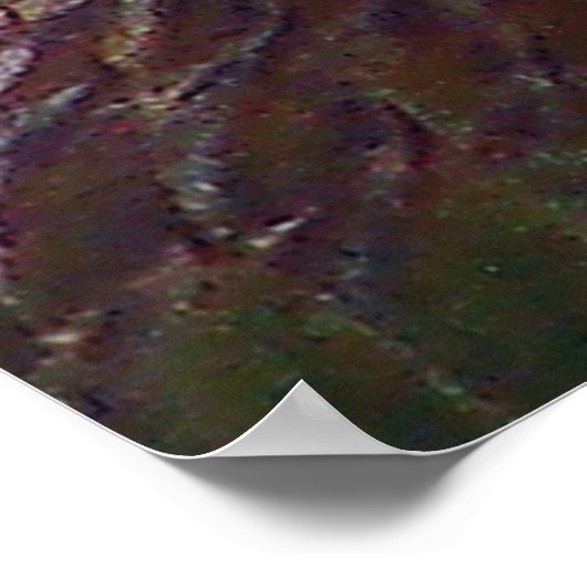 Peter 4:13 Inspirerend Floral Poster (Hoek)