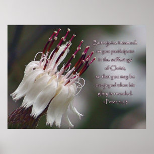 Peter 4:13 Inspirerend Floral Poster