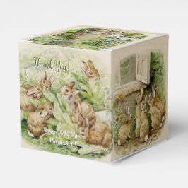 Peter de Konijn Tuin Baby shower Bedankdoosjes