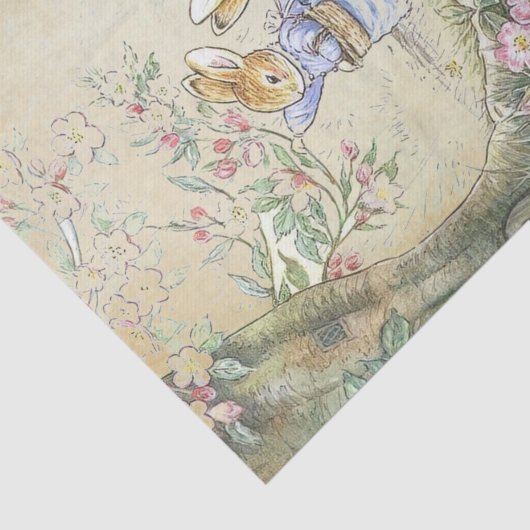 Peter Rabbit 11 Tissuepapier (Detail)