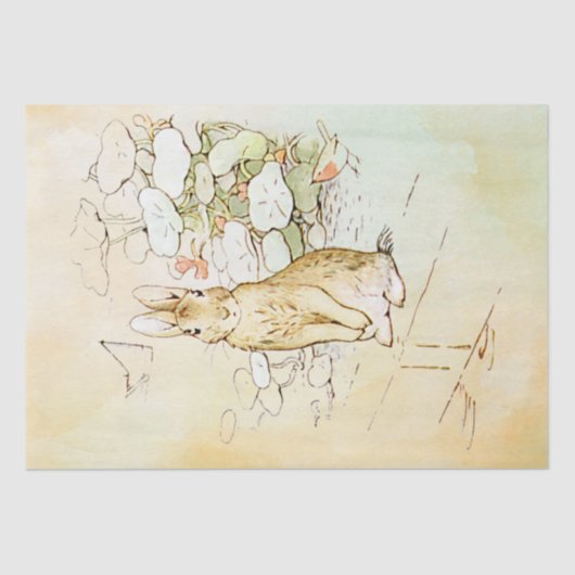 Peter Rabbit 2 Tissue Paper Tissuepapier (Voorkant)