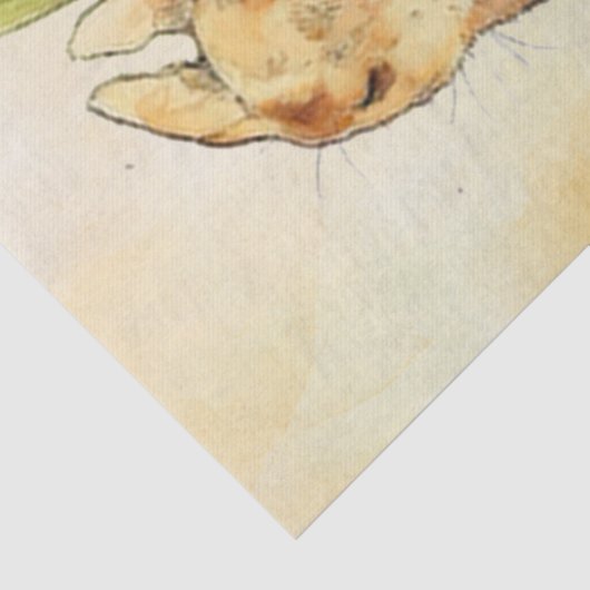 Peter Rabbit 9Tissue Paper Tissuepapier (Detail)