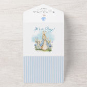 Peter Rabbit Baby Boy All in One Invitation (Dehors)