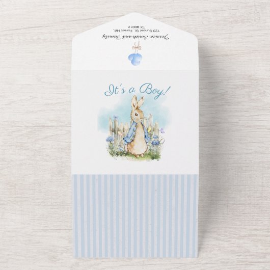Peter Rabbit Baby Boy All in One Invitation (Dehors)
