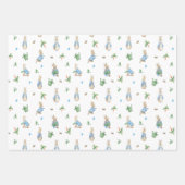 Peter Rabbit Baby Inpakpapier Vel (Voorkant 2)