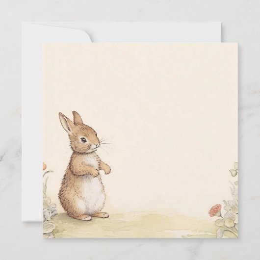 Peter Rabbit Baby shower Invitation (Dos)