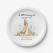 Peter Rabbit Baby shower Papieren Bordje (Voorkant)