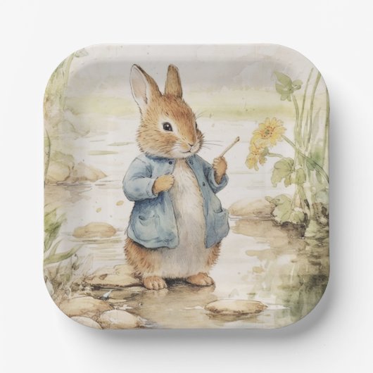 Peter Rabbit Baby shower Papieren Bordje (Voorkant)