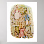 Peter Rabbit Benjamin en Flopsy Bunny Beatrix Pot Poster (Voorkant)