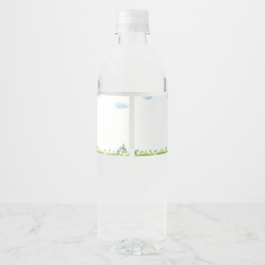 Peter Rabbit Bouteille d'eau Étiquette fête d'anni (Dos)