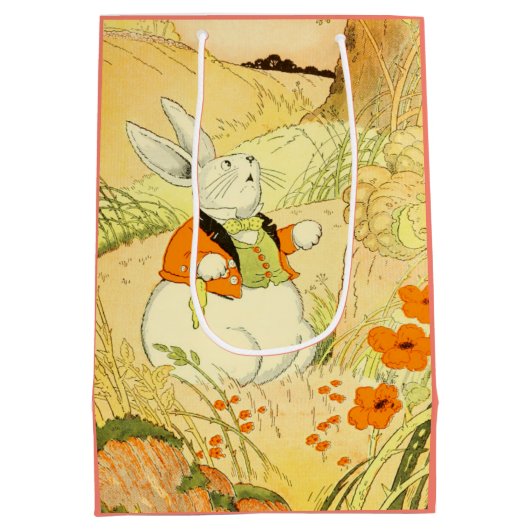 Peter Rabbit Gift Bag Medium Cadeauzakje (Achterkant)