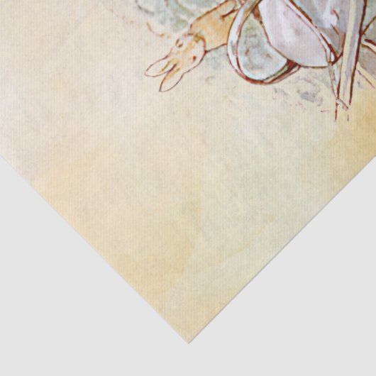 Peter Rabbit (kat) Weefselpapier Tissuepapier (Detail)