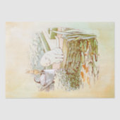 Peter Rabbit (kat) Weefselpapier Tissuepapier (Voorkant)