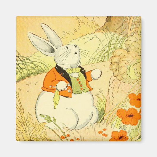 Peter Rabbit Magnet Magneet (Voorkant)