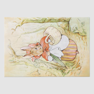 Peter Rabbit (mand) Weefselpapier Tissuepapier