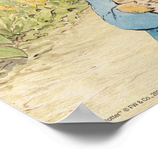Peter Rabbit - Poster de bienvenue pour le premier (Coin)