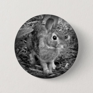 Peter Rabbit Ronde Button 5,7 Cm