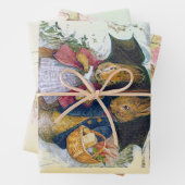 Peter Rabbit set Inpakpapier Vel (In situ)