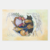 Peter Rabbit set Inpakpapier Vel (Voorkant)