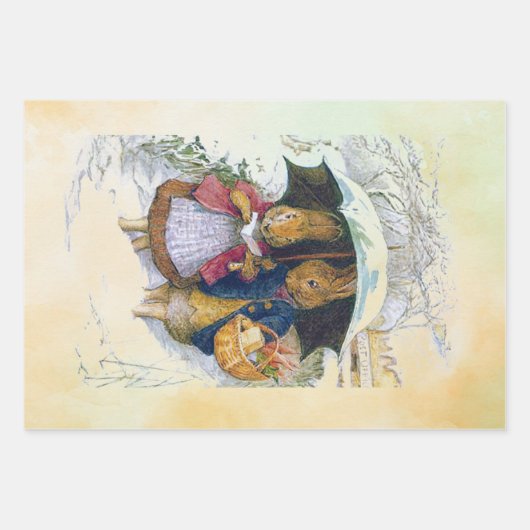 Peter Rabbit set Inpakpapier Vel (Voorkant)