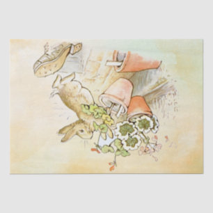Peter Rabbit (shoe) Weefselpapier Tissuepapier