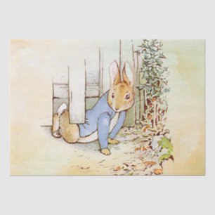 Peter Rabbit Tissue Paper Tissuepapier