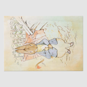 Peter Rabbit (vogel) Weefselpapier Tissuepapier