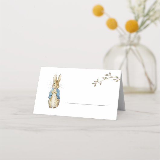 Peter Rabbit Vul in (Voorkant)