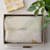 Peter Rabbit (wortel) Weefselpapier Tissuepapier (Geschenk)