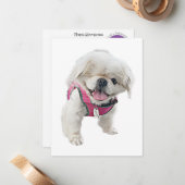 Peter Rottentail Note Cards Notitiekaartje (Voorkant / Achterkant in situ)