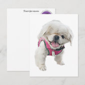 Peter Rottentail Note Cards Notitiekaartje (Voorkant / Achterkant)