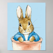 Peter Sitting in Plant Pot Poster (Voorkant)