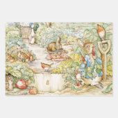 Peter the Rabbit Inpakpapier Vel (Voorkant 2)
