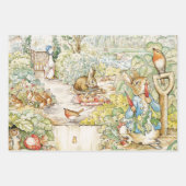 Peter the Rabbit Inpakpapier Vel (Voorkant)