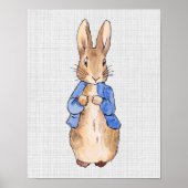 Peter the Rabbit Poster (Devant)