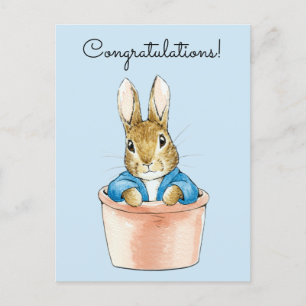 Peter the Rabbit Sitting in a Pot Briefkaart
