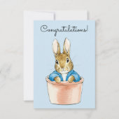 Peter the Rabbit Sitting in a Pot Kaart (Voorkant)