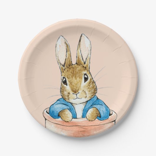 Peter the Rabbit Sitting in a Pot Papieren Bordje (Voorkant)