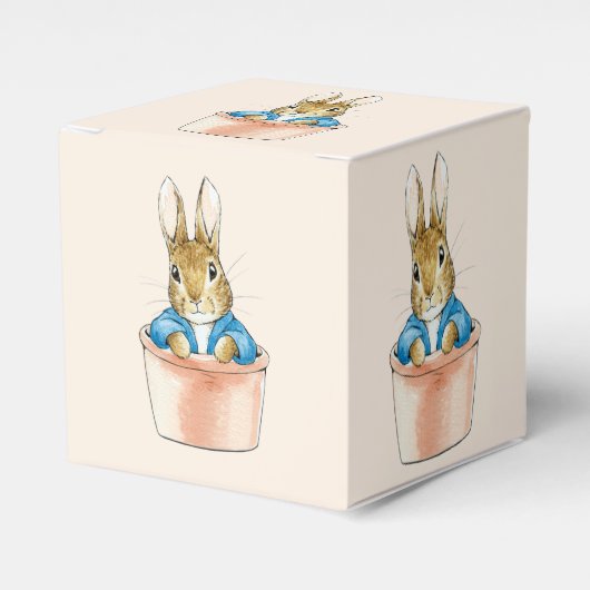 Peter the Rabbit Sitting in Plant Pot Bedankdoosjes (Voorkant Zijde)