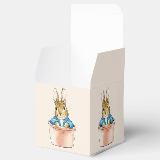 Peter the Rabbit Sitting in Plant Pot Bedankdoosjes (Geopend)