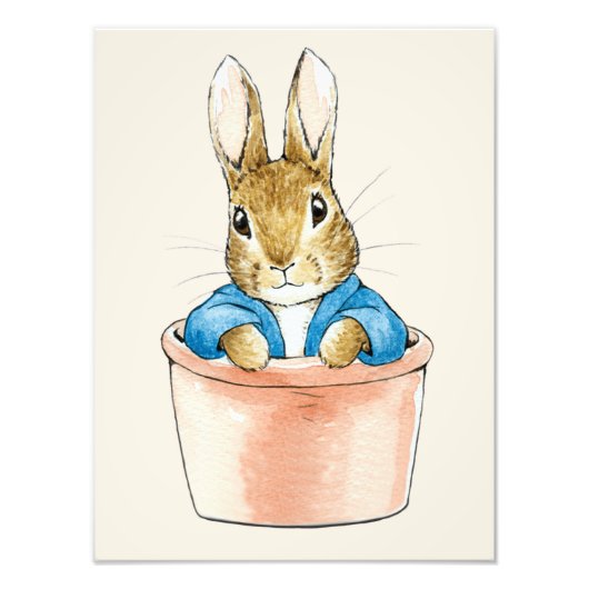 Peter the Rabbit Sitting in Plant Pot Foto Afdruk (Voorkant)