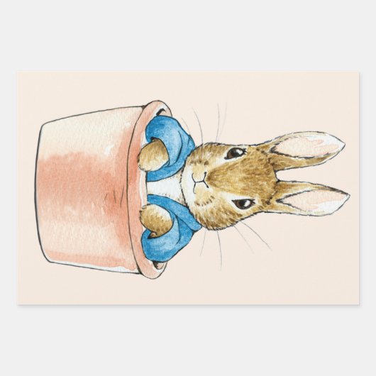 Peter the Rabbit Sitting in Plant Pot Inpakpapier Vel (Voorkant)