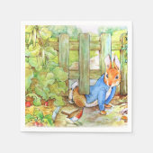 Peter the Rabbit Sneaking in Mc Gregor's Garden Servet (Voorkant)