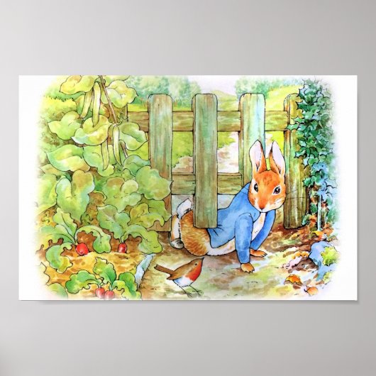 Peter the Rabbit Sneaking in Mc Gregor's Vegie G Poster (Voorkant)