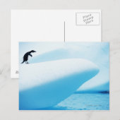 Petermann Island, Antarctica Briefkaart (Voorkant / Achterkant)
