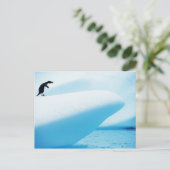 Petermann Island, Antarctica Briefkaart (Staand voorkant)