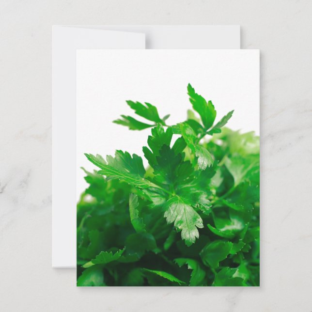 peterselie (Voorkant)