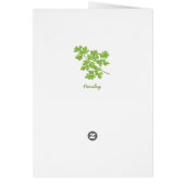 peterselie (Achterkant)