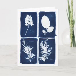 Peterselie de Wijze Spatie van Rosemary & van de Kaart